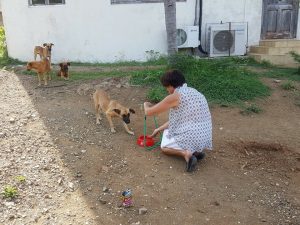 14556107_10209220473083779_2026637834_n