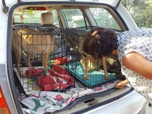 14619867_10209251832387742_1493099926_n