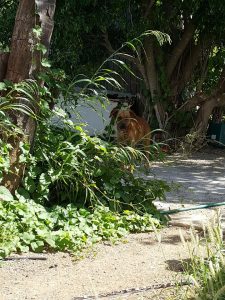 14625460_10209251831107710_1518481035_n