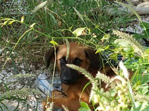 14627820_10209251831907730_1372618158_n