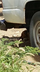 14627871_10209252306159586_106260931_n