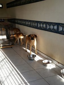 14627993_10209249646533097_761725394_n