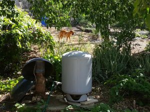 14657663_10209251831427718_2056018943_n