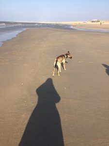 11072818_820438201336737_121249421_n