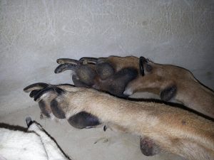 12369451_10206946005223504_1505309893_o