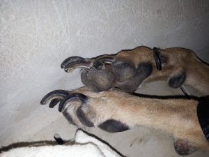 12394704_10206946004983498_253801050_o