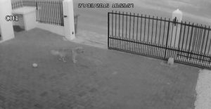 11101783_1417828708522859_1266162409_n