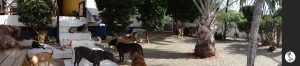 Panorama2