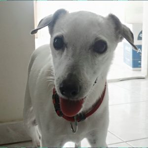 10347185_10207042125590787_2797220635787081502_n