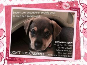 10931092_939143399450377_4627443616301182918_n