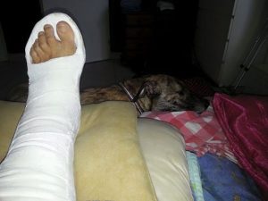 10952529_10205369694496721_6612551377530551946_n