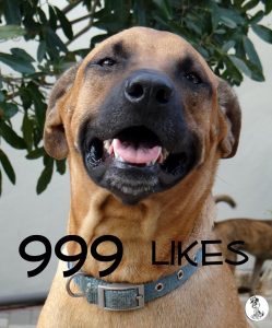 11112503_389253767933182_8310988631957438991_n