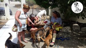 11150678_386323674892858_4967988670009742153_n