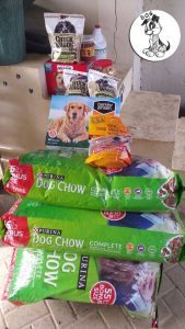 11206962_386323898226169_3128125527232253130_n