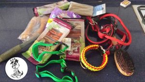 11244711_386323904892835_5042380192186320040_n