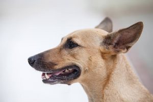 19601_389051254620100_3600922026506914309_n