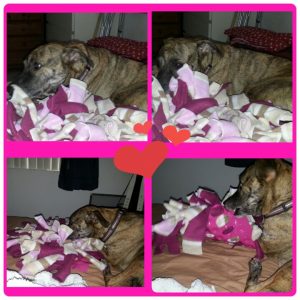 PhotoGrid_1430169163617