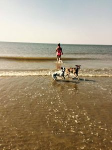 11220061_420064911518734_6871686810728568328_n