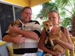 11846511_414011928790699_4272228814498591303_n