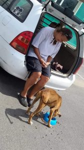 11873455_420070318184860_8031916107898861908_n