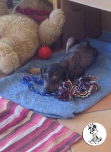 11880190_988946297803420_372799977_n