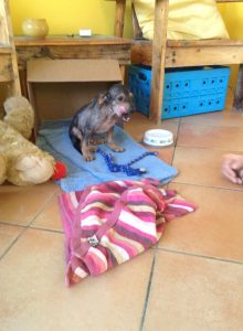 11880966_989088667789183_111899257_n