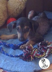 11911109_988946311136752_387242115_n