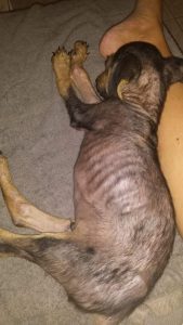 received_10207683401982296