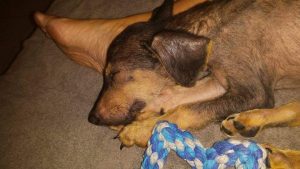 received_10207683469983996