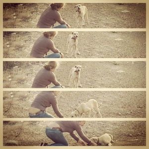 12002171_10206468387363356_2117327265658445569_n