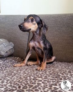 12015225_429178770607348_3676214805039563213_o