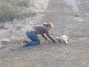 12021825_10206468049194902_2106323765_n