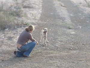 12021863_10206468049514910_2018633152_n