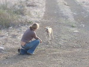 12023184_10206468049554911_1539074534_n