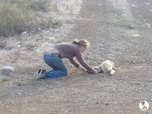 12030755_10206468049234903_877413479_n