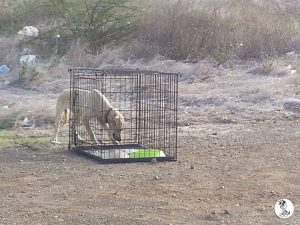 12033327_10206468049674914_610933008_n