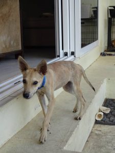 12046965_880685155319118_6474451383061466799_n