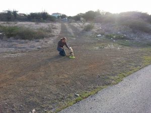 12048921_10206468048274879_1499063134_n