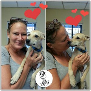 12079182_442206925971199_4521879151377148596_n