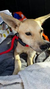 12086773_10206529771337917_774687570_n