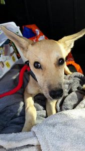 12086997_10206529771497921_810776834_n