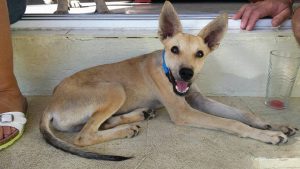 12092703_10206529770937907_914127982_n