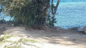 12053289_1145247648822269_808758364_n