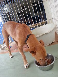 12179326_10206692729451768_1344927608_n