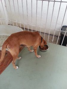 12179894_10206692729931780_877365611_n