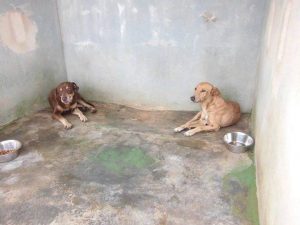 12202023_10156122160255507_820196177_n