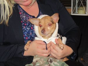 12241707_190577447951158_5066687645981903450_n