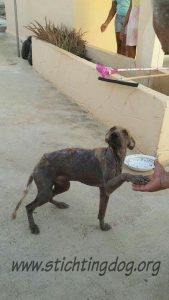 received_10206597830439352_wm