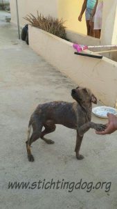 received_10206597831159370_wm