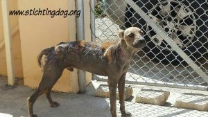 received_10206599429199320_wm